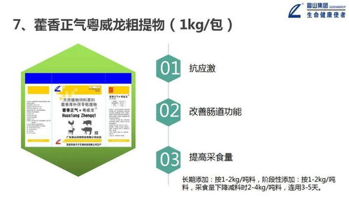 大力推進一體化形象服務體系建設，推動高山中獸藥向更高水平發展——信息系統運行維護服務篇